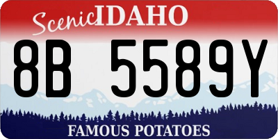 ID license plate 8B5589Y