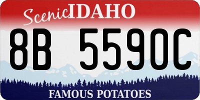 ID license plate 8B5590C
