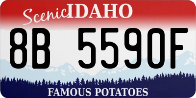 ID license plate 8B5590F