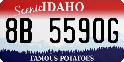 ID license plate 8B5590G