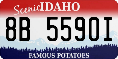 ID license plate 8B5590I