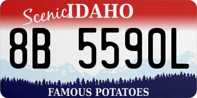 ID license plate 8B5590L