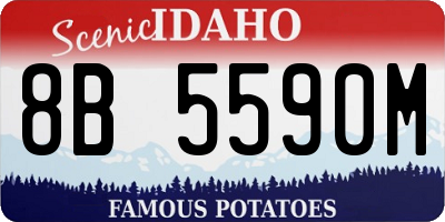 ID license plate 8B5590M