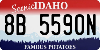 ID license plate 8B5590N