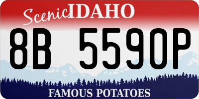 ID license plate 8B5590P