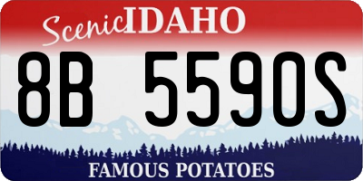 ID license plate 8B5590S