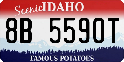 ID license plate 8B5590T