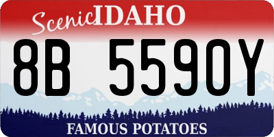 ID license plate 8B5590Y