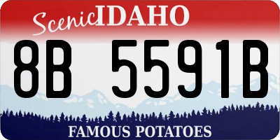 ID license plate 8B5591B