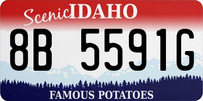 ID license plate 8B5591G