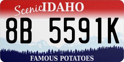 ID license plate 8B5591K