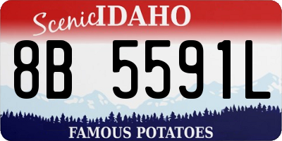 ID license plate 8B5591L
