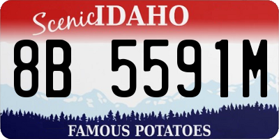 ID license plate 8B5591M