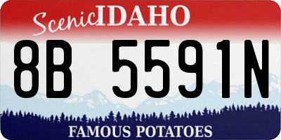 ID license plate 8B5591N