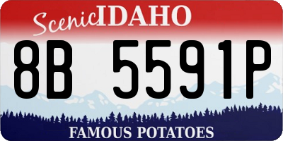 ID license plate 8B5591P
