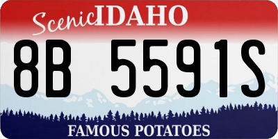 ID license plate 8B5591S
