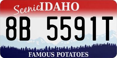 ID license plate 8B5591T