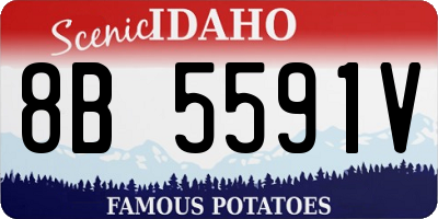 ID license plate 8B5591V