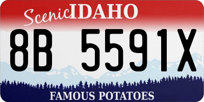 ID license plate 8B5591X