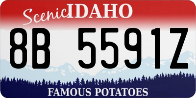 ID license plate 8B5591Z