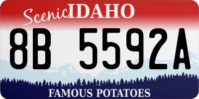 ID license plate 8B5592A