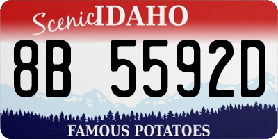 ID license plate 8B5592D