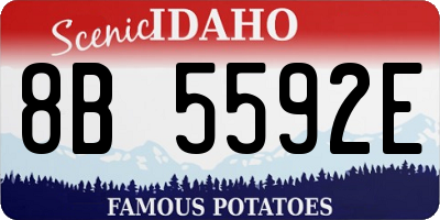ID license plate 8B5592E