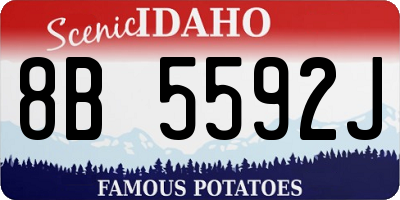 ID license plate 8B5592J