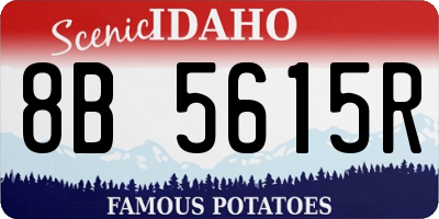 ID license plate 8B5615R