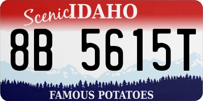ID license plate 8B5615T