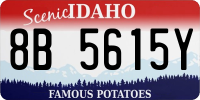 ID license plate 8B5615Y