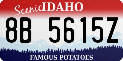 ID license plate 8B5615Z