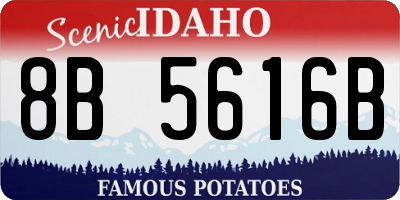 ID license plate 8B5616B