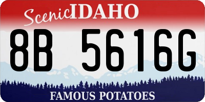 ID license plate 8B5616G