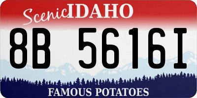 ID license plate 8B5616I