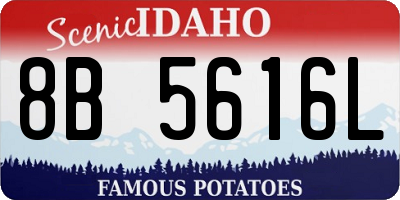 ID license plate 8B5616L