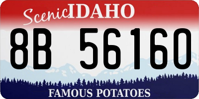 ID license plate 8B5616O
