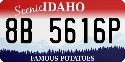 ID license plate 8B5616P