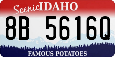 ID license plate 8B5616Q