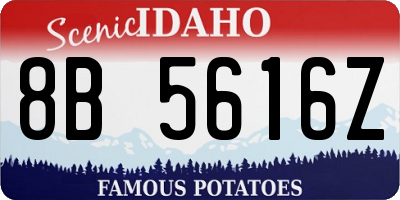ID license plate 8B5616Z
