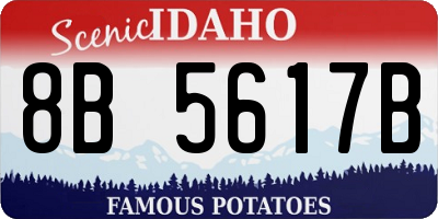 ID license plate 8B5617B