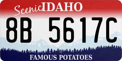 ID license plate 8B5617C