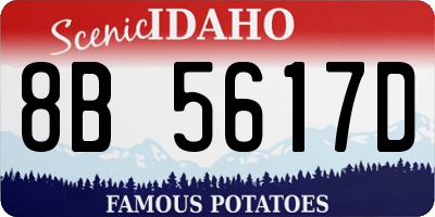 ID license plate 8B5617D