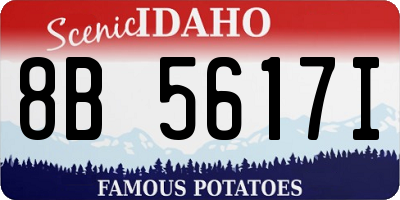ID license plate 8B5617I