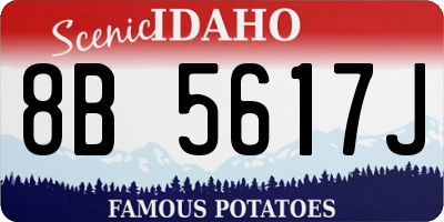 ID license plate 8B5617J