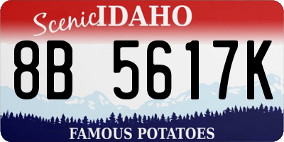 ID license plate 8B5617K