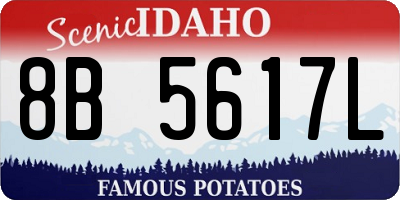 ID license plate 8B5617L