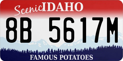ID license plate 8B5617M