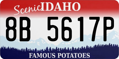 ID license plate 8B5617P