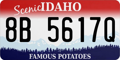 ID license plate 8B5617Q